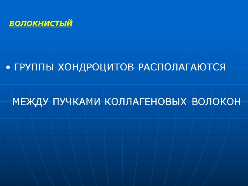 ВОЛОКНИСТЫЙ  ГРУППЫ ХОНДРОЦИТОВ РАСПОЛАГАЮТСЯ      МЕЖДУ ПУЧКАМИ КОЛЛАГЕНОВЫХ ВОЛОКОН
